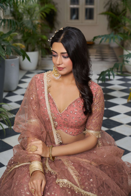 Rust Red Thread Embroidered Net Lehenga Choli