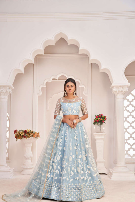 Blue Net Embroidered Lehenga Choli & Dupatta
